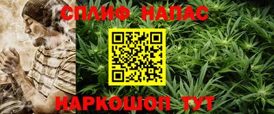 ECSTASY Гатчина