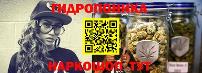 ECSTASY Гатчина