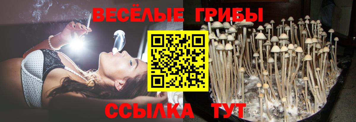 Нефтеюганск  Псилоцибиновые грибы MAGIC MUSHROOMS  Вход с VPN 